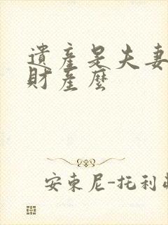 遗产是夫妻共同财产么