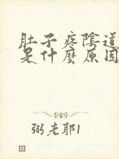 肚子疼阴道流血是什么原因