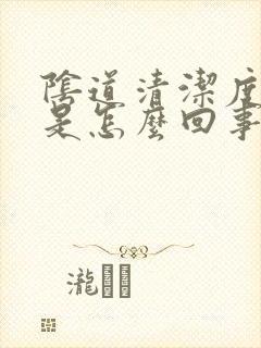 阴道清洁度4度是怎么回事