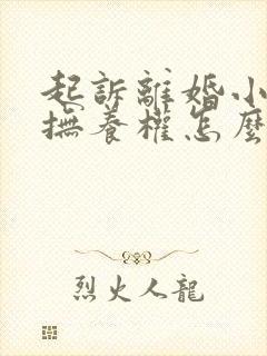 起诉离婚小孩的抚养权怎么判