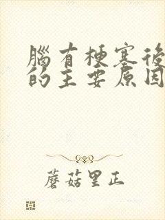 脑有梗塞后遗症的主要原因