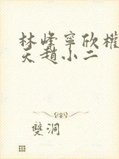 林峰宁欣权势滔天赵小二