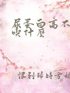 尿蛋白高不适合吃什么