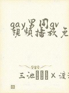 gay男同gv视频播放免费