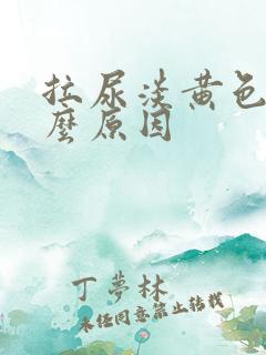 拉尿淡黄色是什么原因