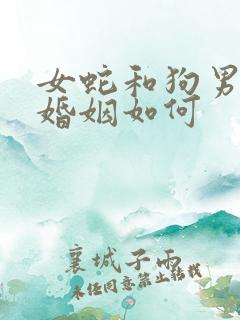 女蛇和狗男相配婚姻如何