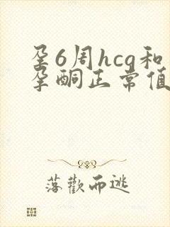 孕6周hcg和孕酮正常值参考范围是多少