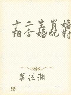 十二生肖婚配属相合婚配对表