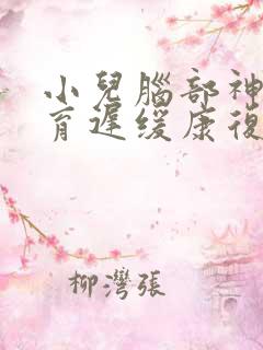 小儿脑部神经发育迟缓康复治疗