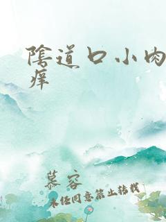 阴道口小肉芽 痒