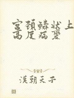 宫颈鳞状上皮内高度病变