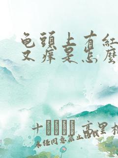 龟头上有红点点又痒是怎么回事