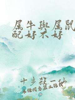 属牛与属鼠的婚配好不好