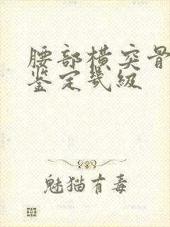 腰部横突骨折能鉴定几级