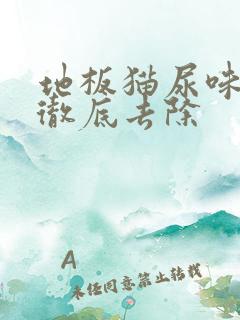 地板猫尿味怎么彻底去除