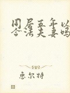 同居五年以上算合法夫妻吗