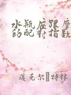 水瓶座跟摩羯座的配对指数