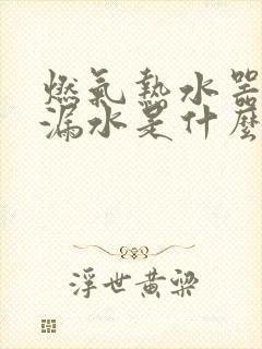 燃气热水器外壳漏水是什么原因