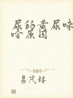 尿的黄尿味重是啥原因