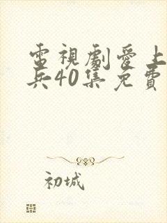 电视剧爱上特种兵40集免费观看全集