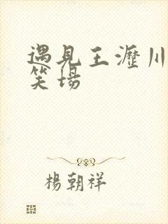遇见王沥川花絮笑场