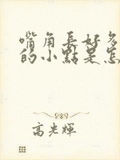 嘴角长好多白色的小点是怎么回事