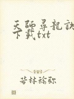 天师寻龙诀免费下载txt