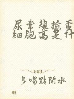 尿常规检查上皮细胞高是什么意思