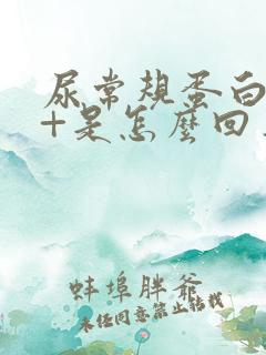 尿常规蛋白质3+是怎么回事