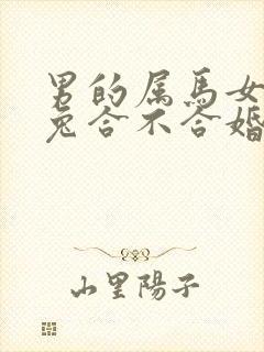 男的属马女的属兔合不合婚