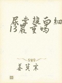 尿常规白细胞113严重吗