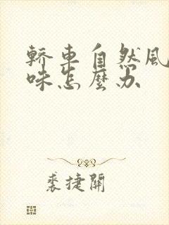 轿车自然风有异味怎么办