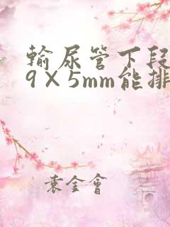 输尿管下段结石9×5mm能排出吗