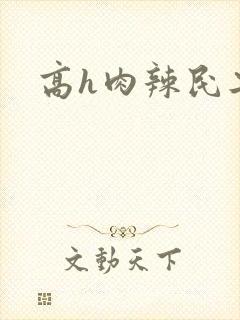 高h肉辣民工文