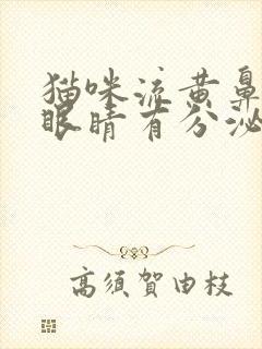 猫咪流黄鼻涕,眼睛有分泌物