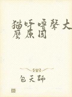 猫呼噜声大是什么原因