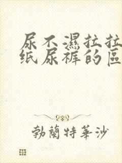 尿不湿拉拉裤和纸尿裤的区别