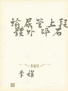 输尿管上段结石 体外 碎石