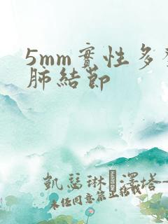 5mm实性多发肺结节