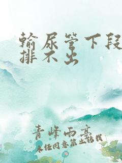 输尿管下段结石排不出