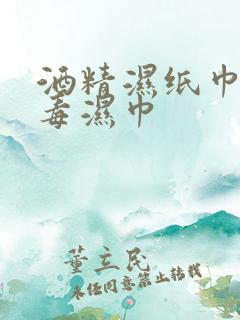 酒精湿纸巾 消毒湿巾