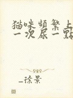 猫咪频繁上厕所一次尿一点