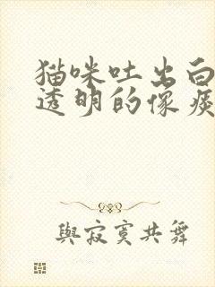 猫咪吐出白色的透明的像痰一样