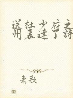 送杜少府之任蜀州表达了诗人怎样的思想感情