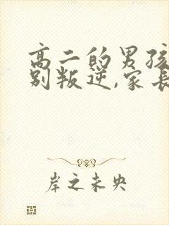 高二的男孩子特别叛逆,家长怎么办?