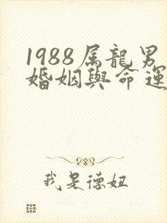 1988属龙男婚姻与命运