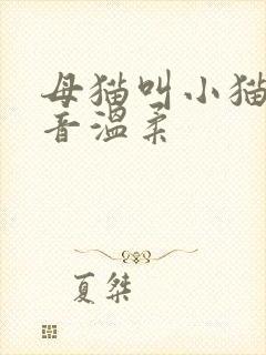 母猫叫小猫的声音温柔