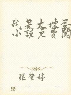 我是大坏蛋原著小说免费阅读