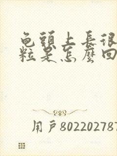 龟头上长很多颗粒是怎么回事