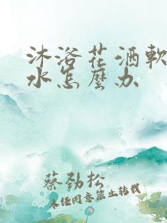 沐浴花洒软管漏水怎么办